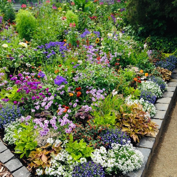 Meet your Posher - Picture 1 of 1